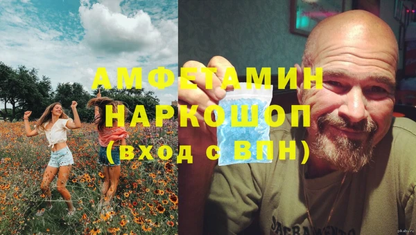 стаф Богданович